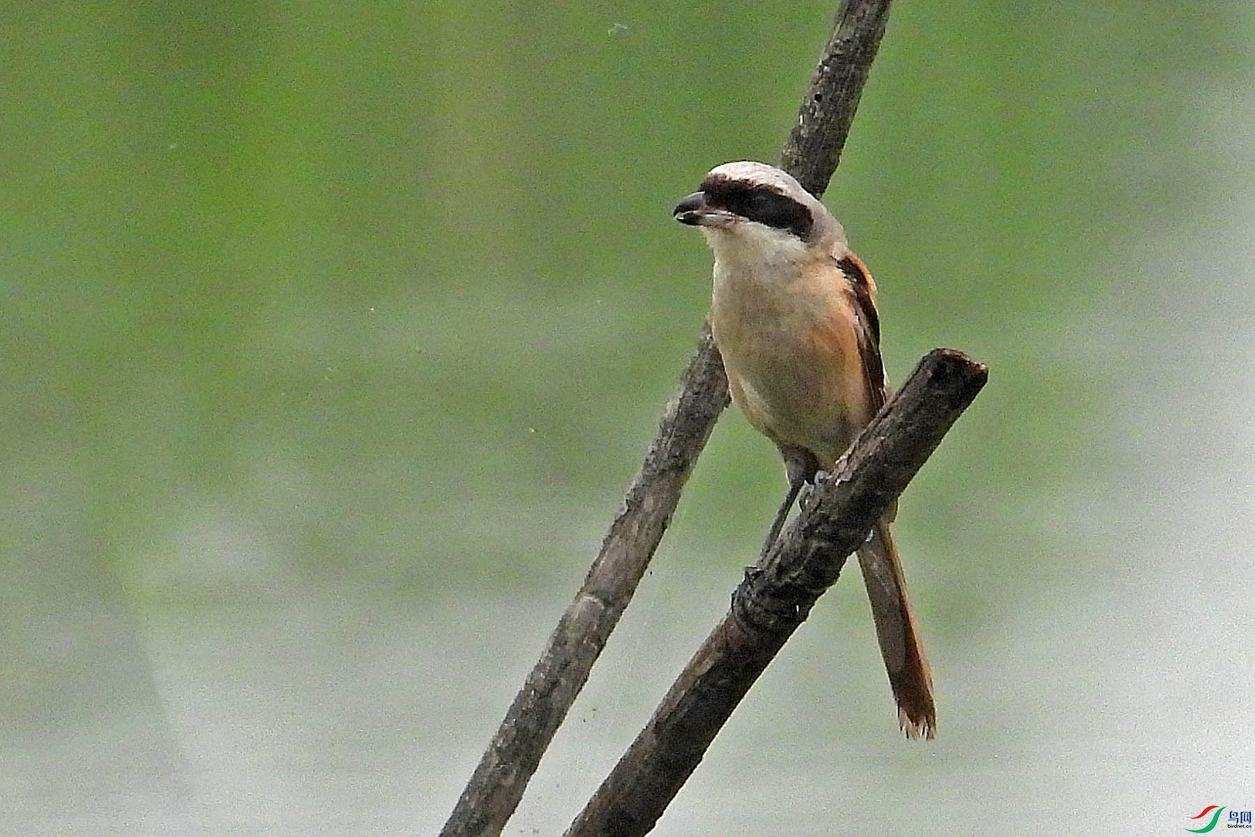DSCN5818.jpg