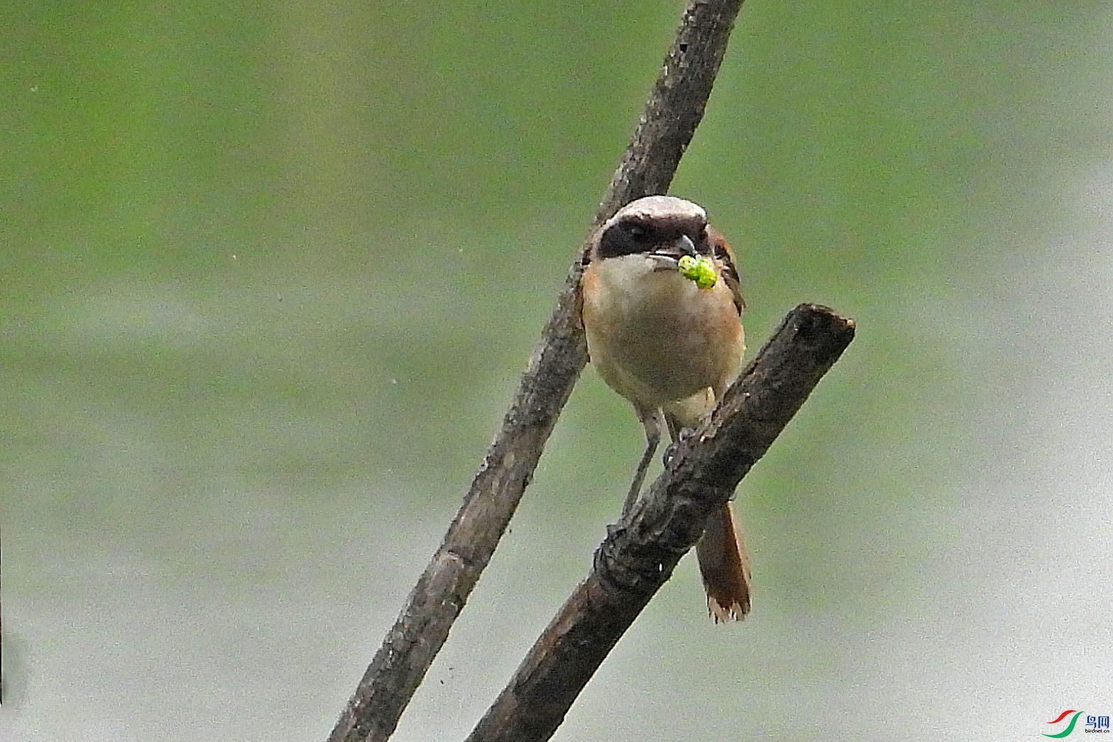 DSCN5816.jpg