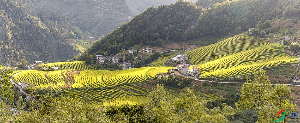 817A6211-Pano-1a-1c.jpg