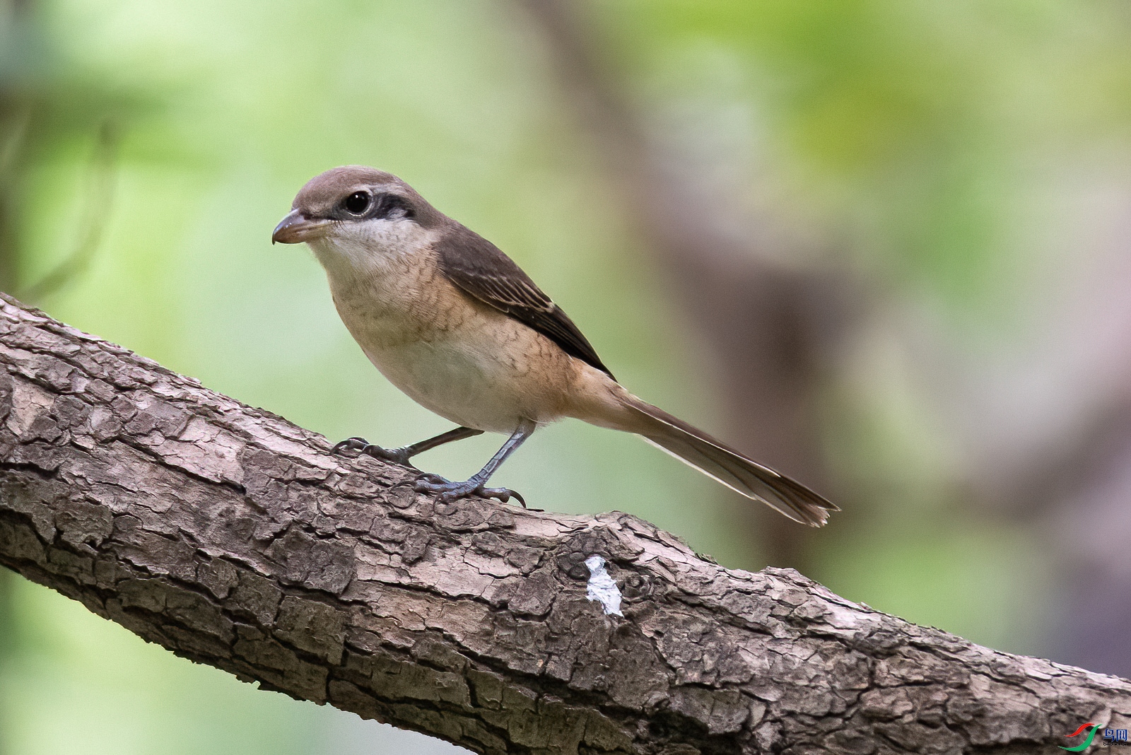 DSC_3727-2.jpg