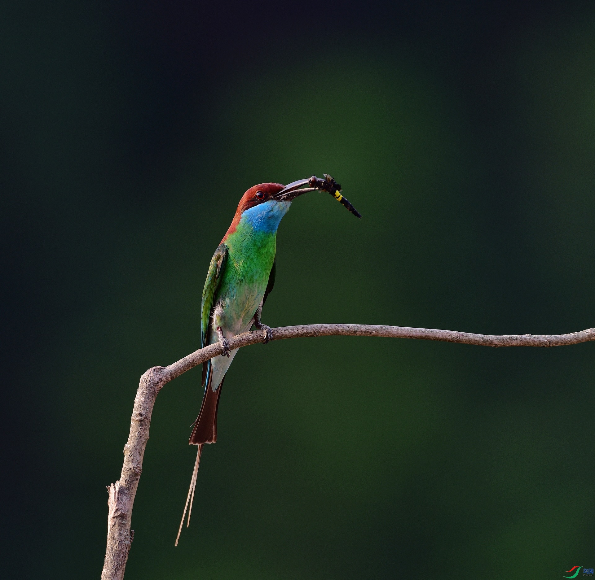 D8I_6632.jpg