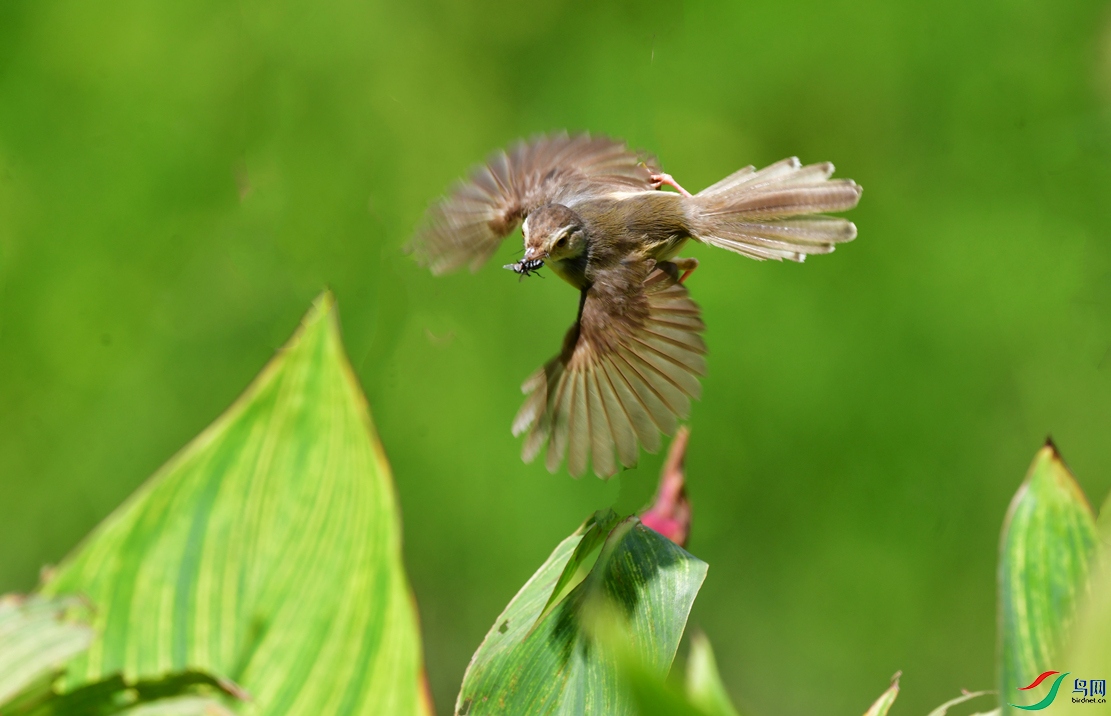 DSC_2628_��ͼ��_����222.jpg