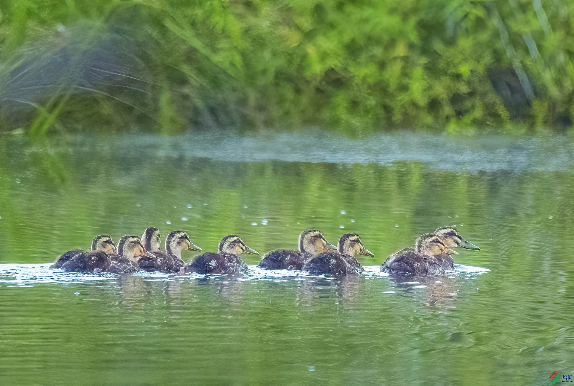 DSC_5543 ���� 2.jpg