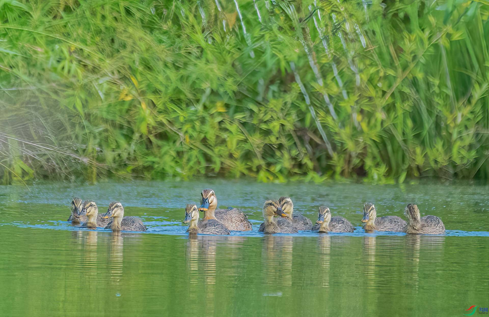 DSC_5739 ����.jpg