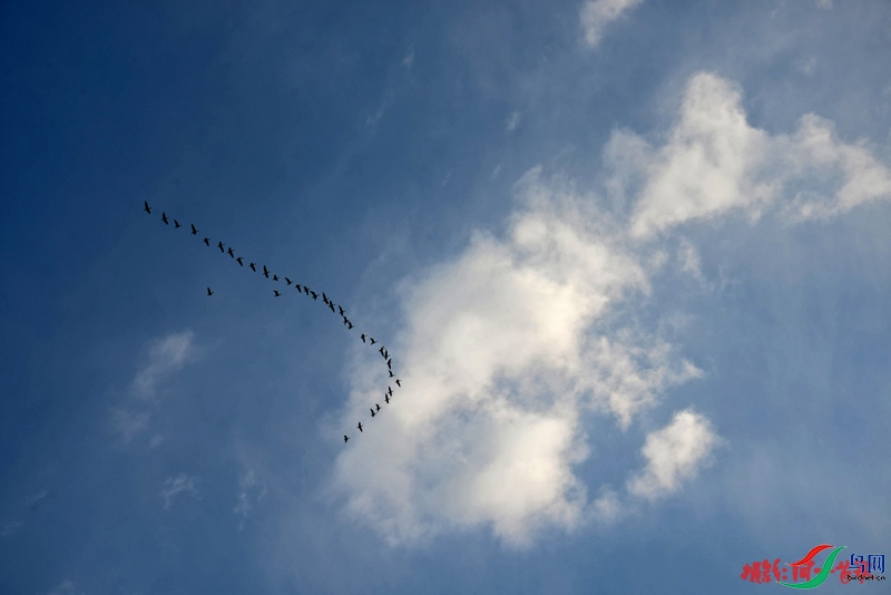 DSC_0485_����.jpg
