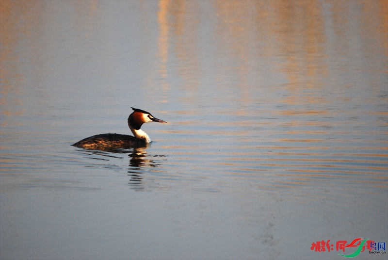 DSC_0711.jpg