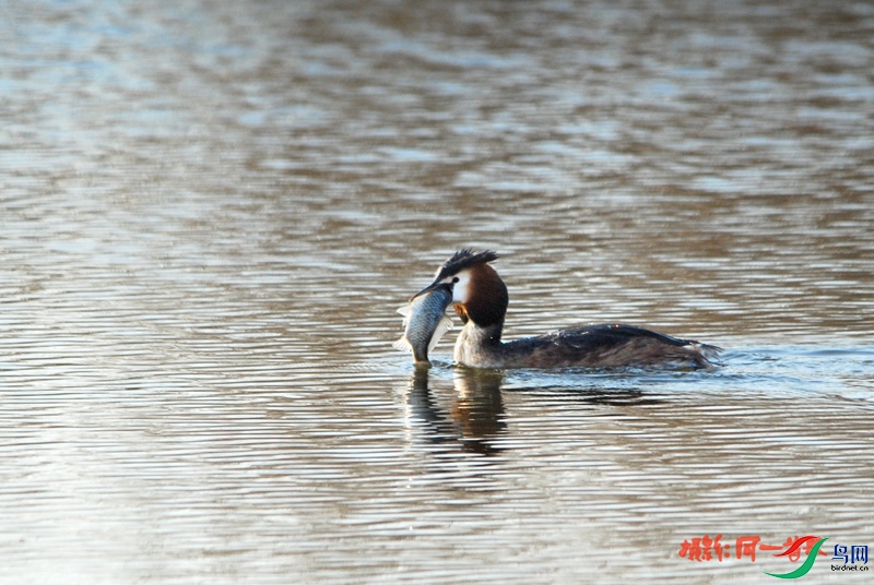 DSC_0739.jpg