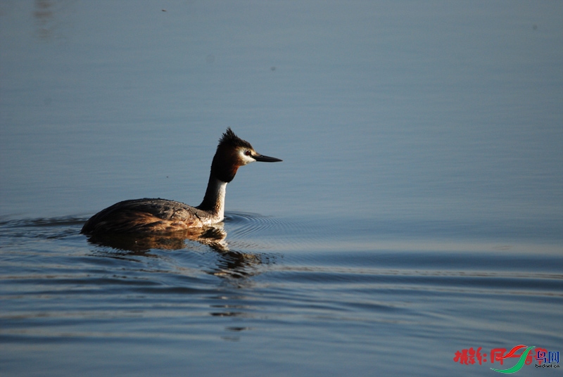 DSC_0760.jpg