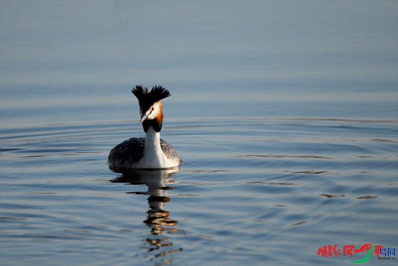 DSC_0765.jpg