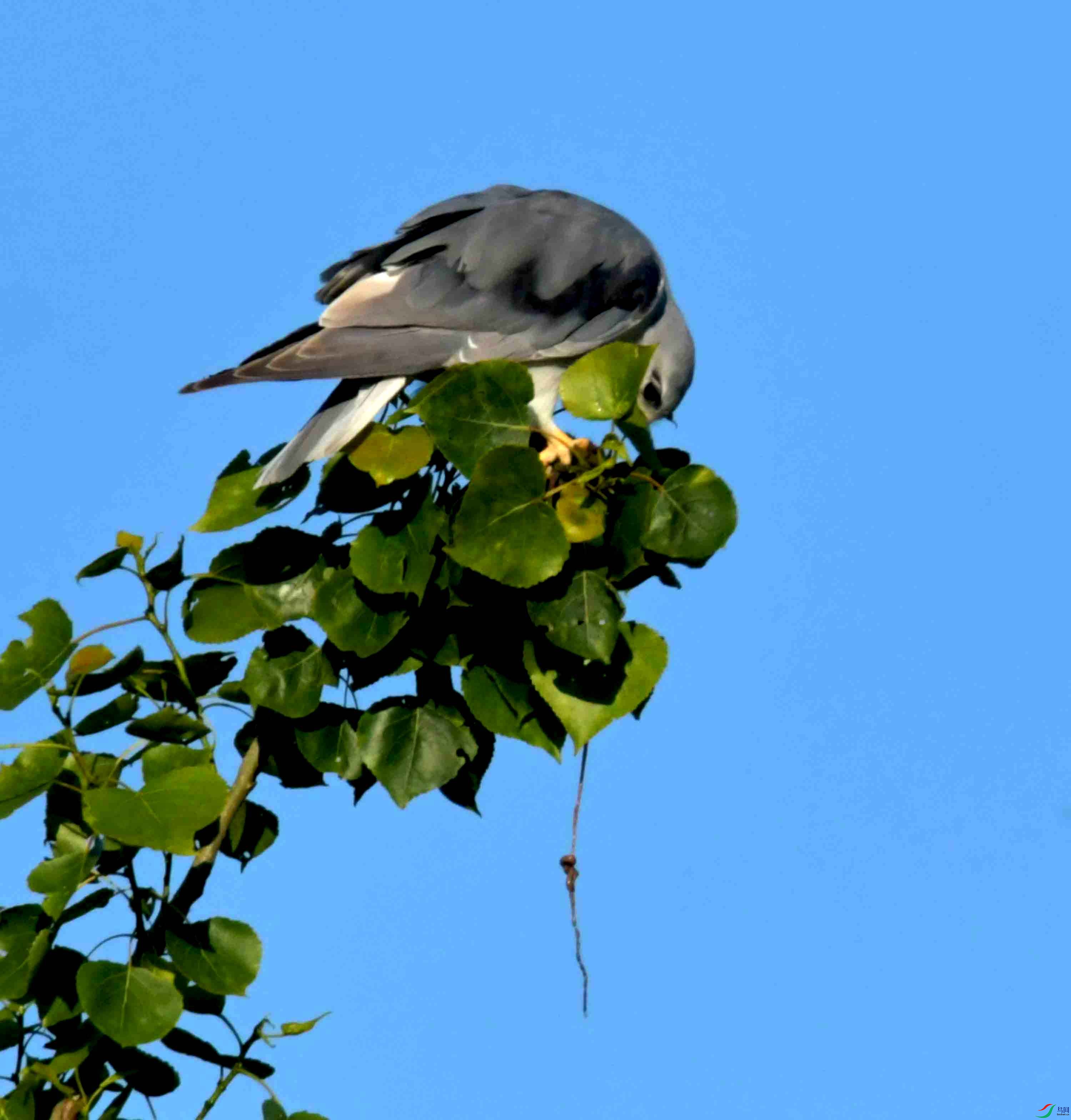 DSC_0662.JPG