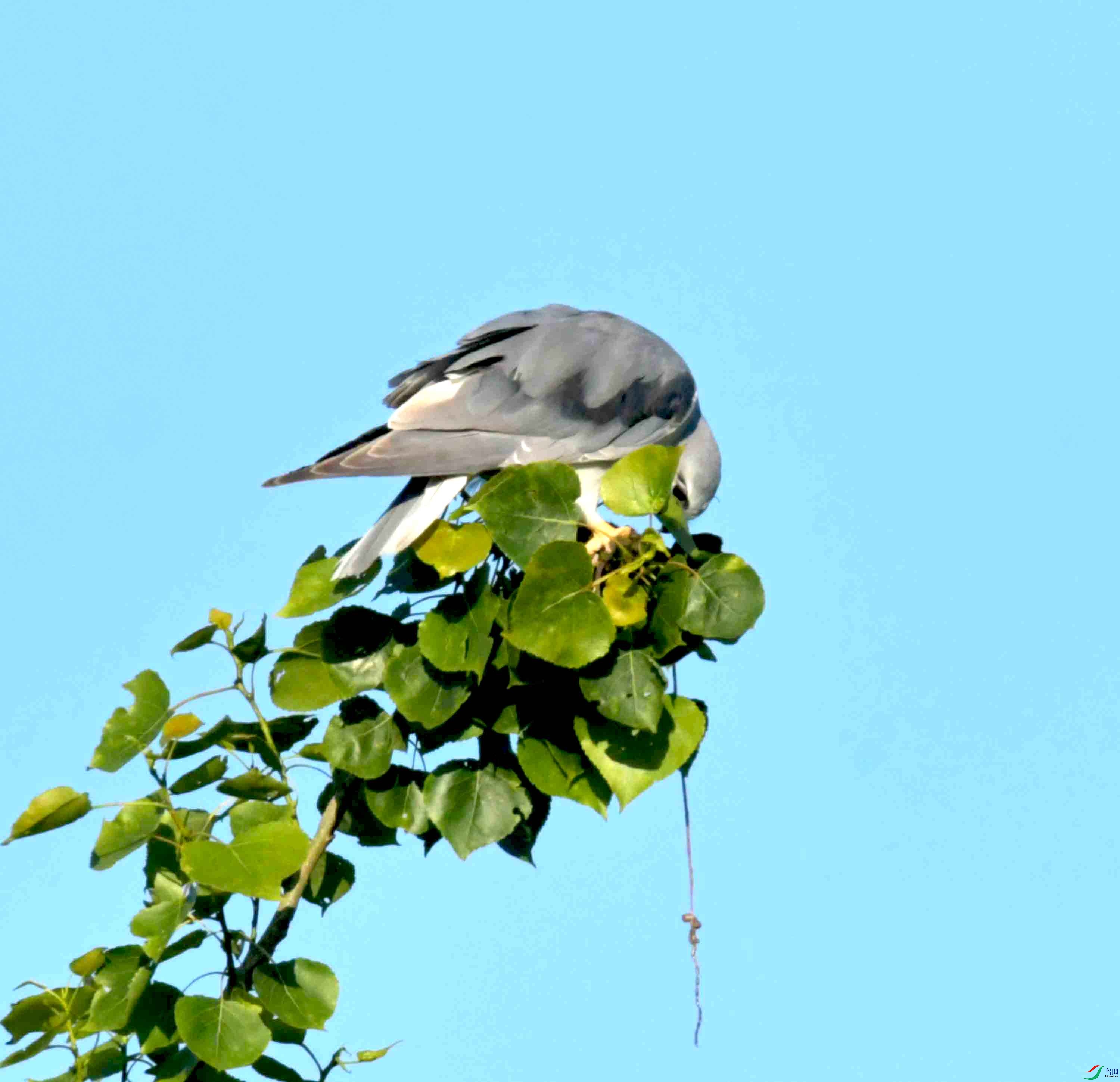 DSC_0663.JPG