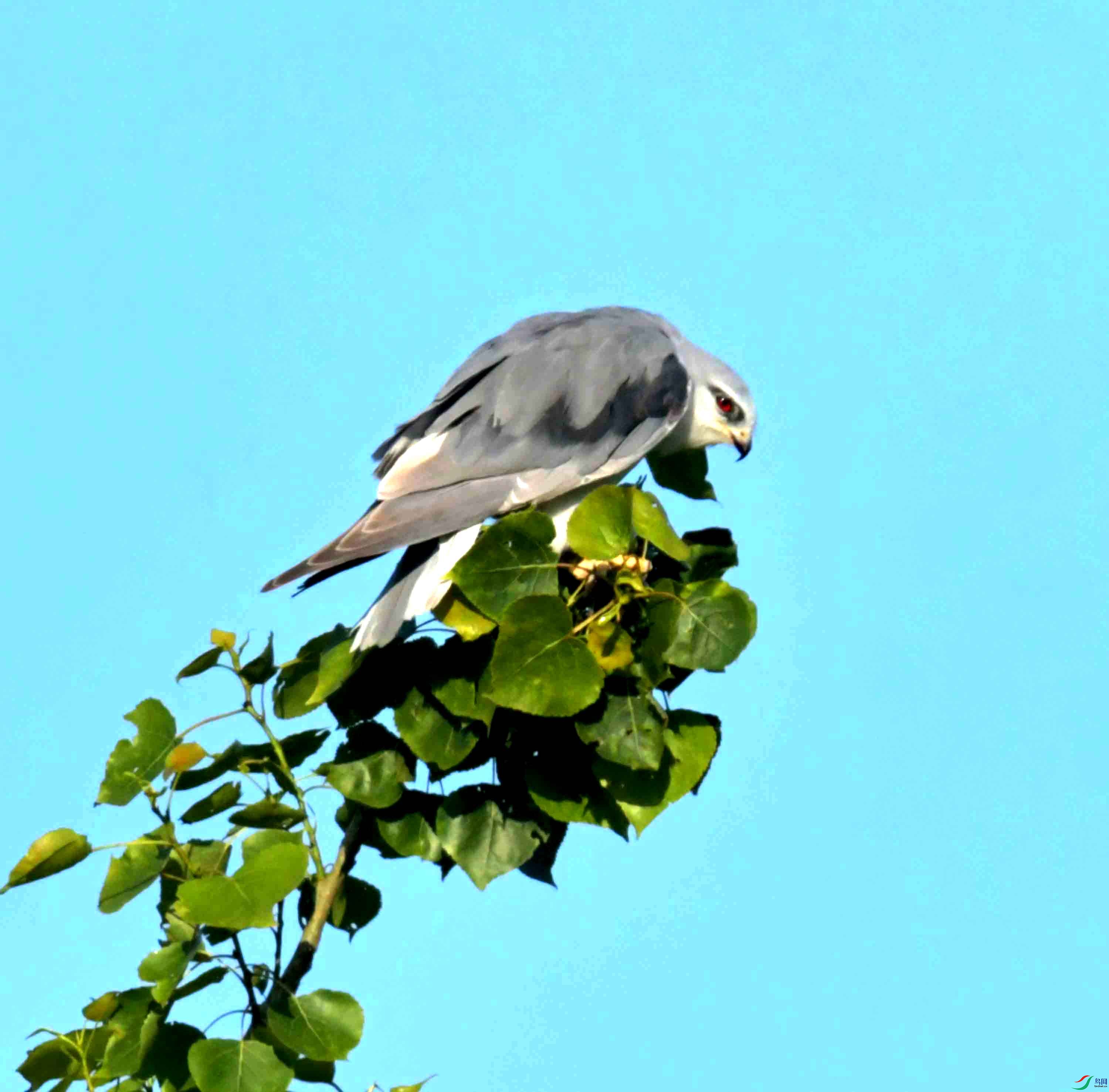 DSC_0666.JPG
