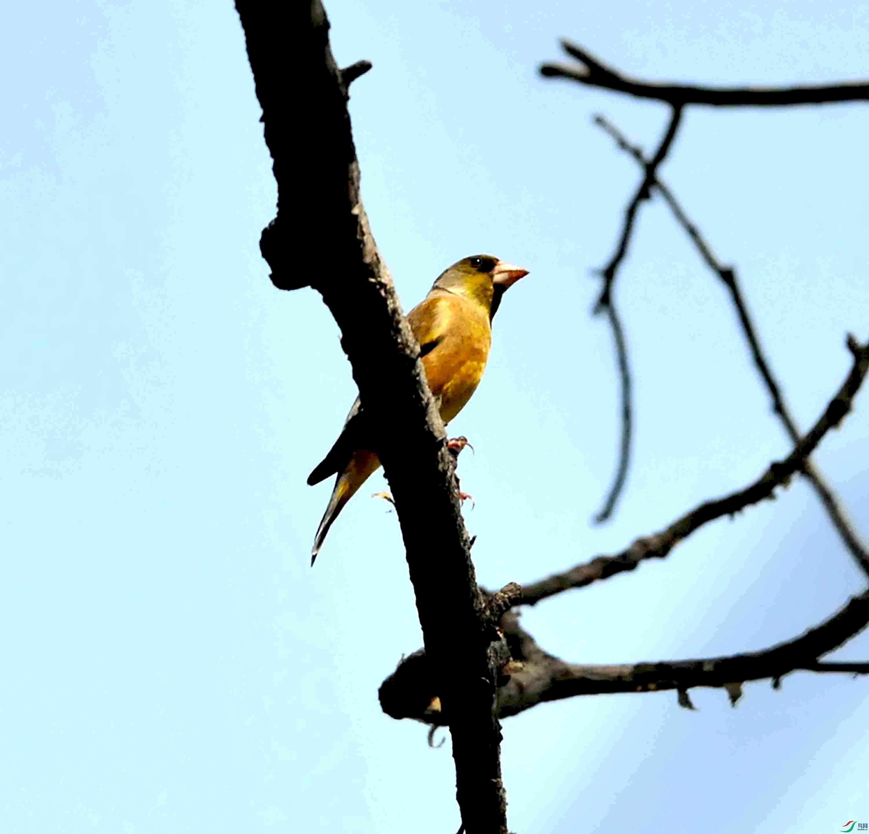 DSC_7500.JPG