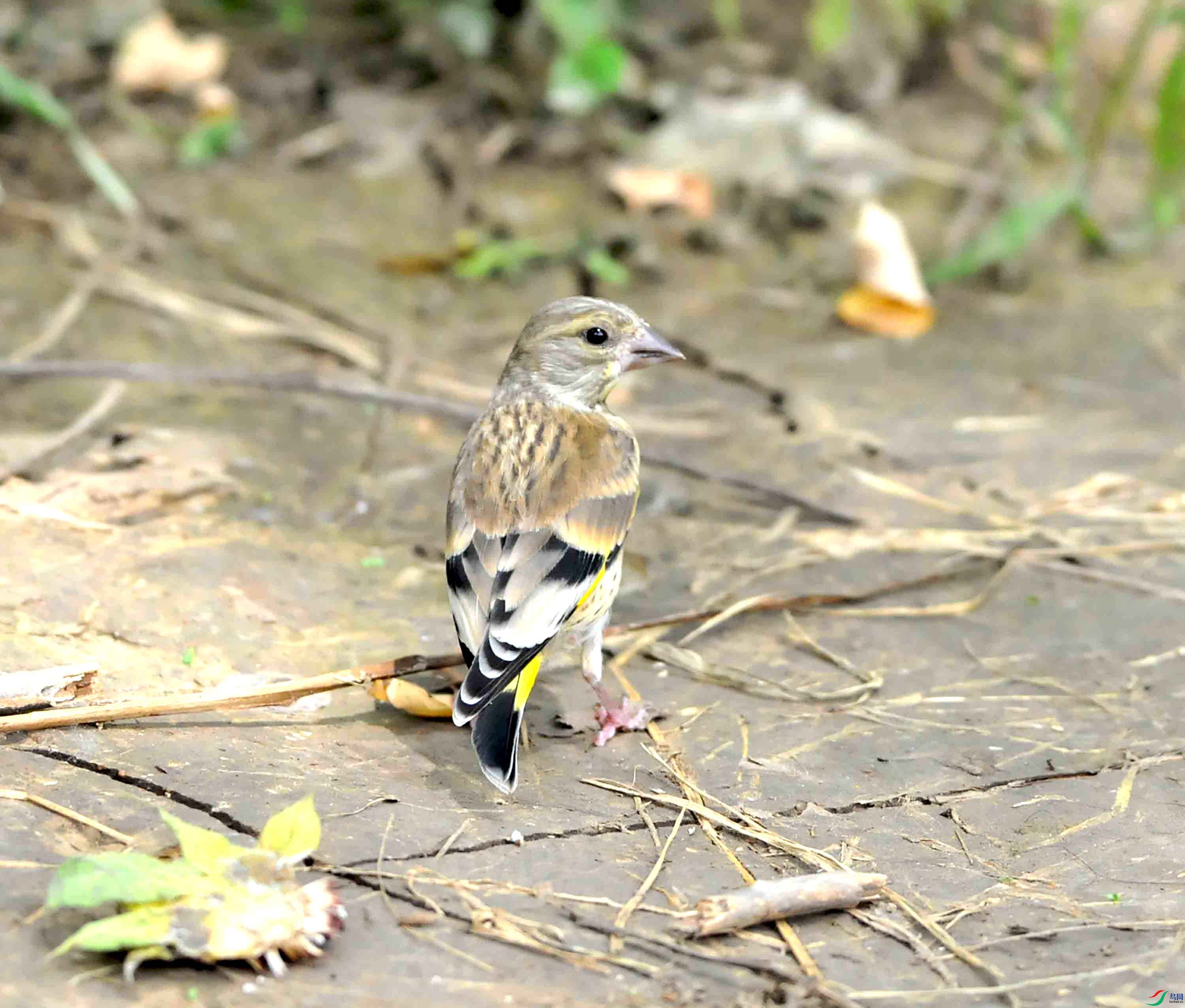 DSC_8706.JPG