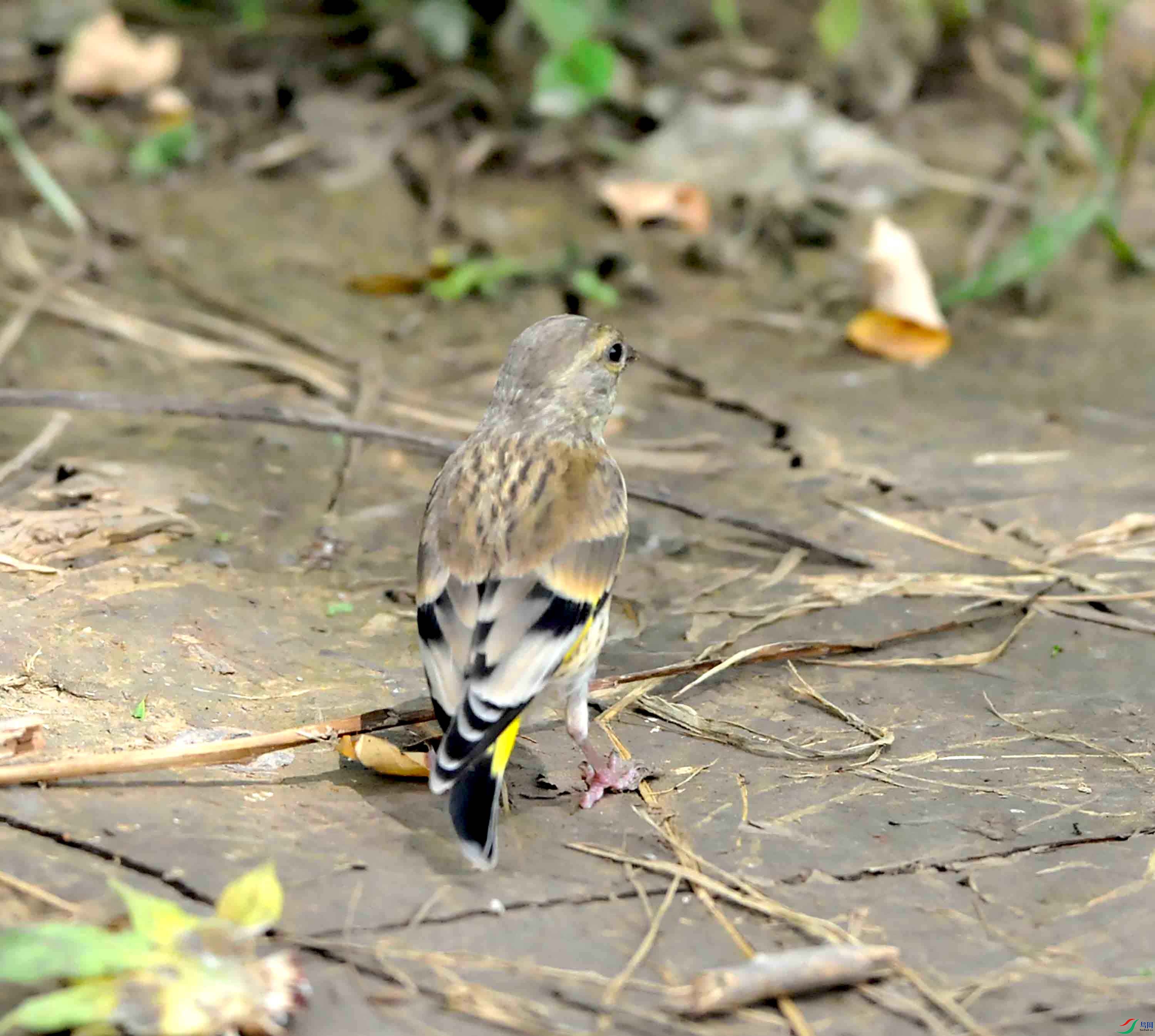 DSC_8707.JPG
