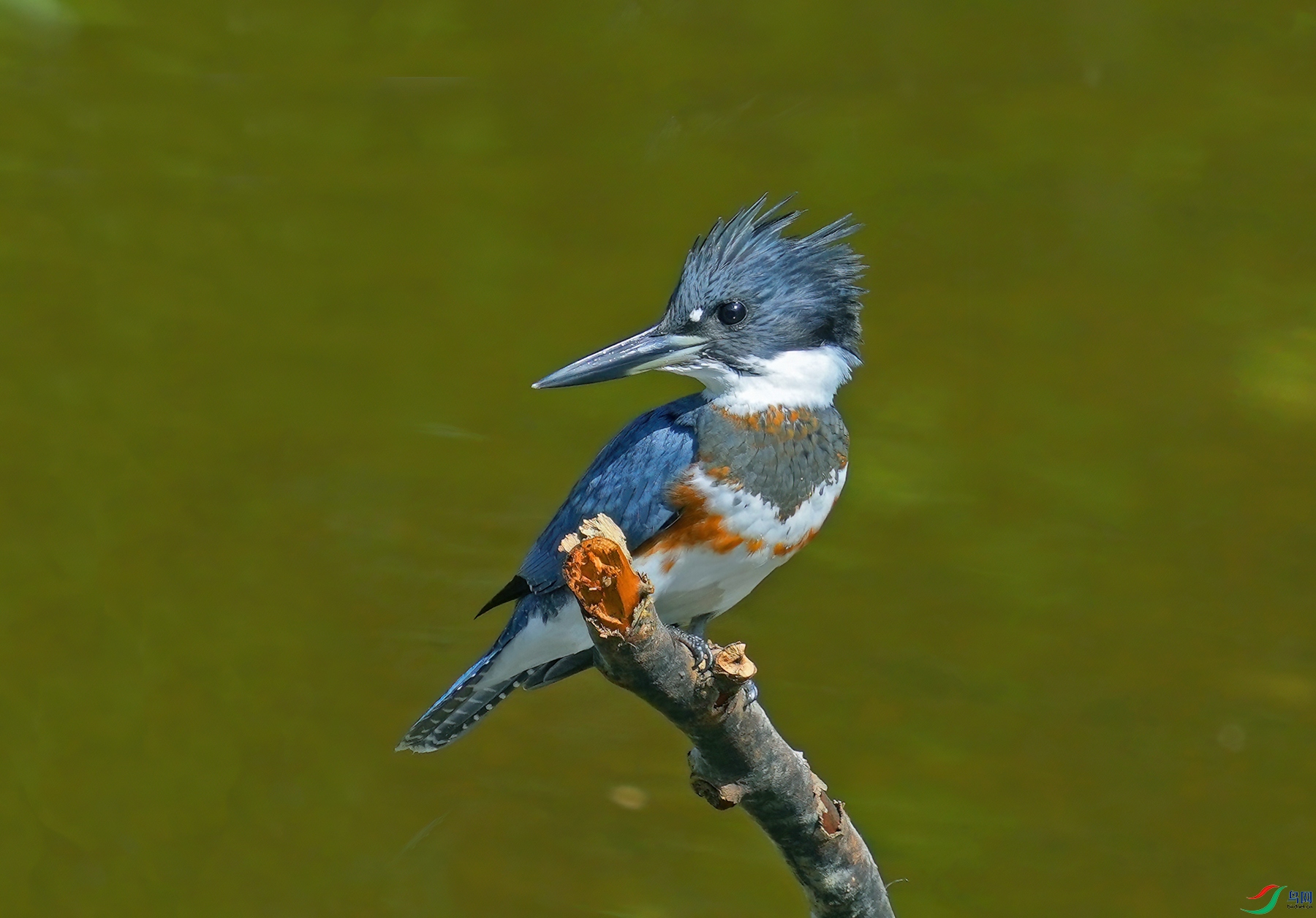 DSD06874--.jpg