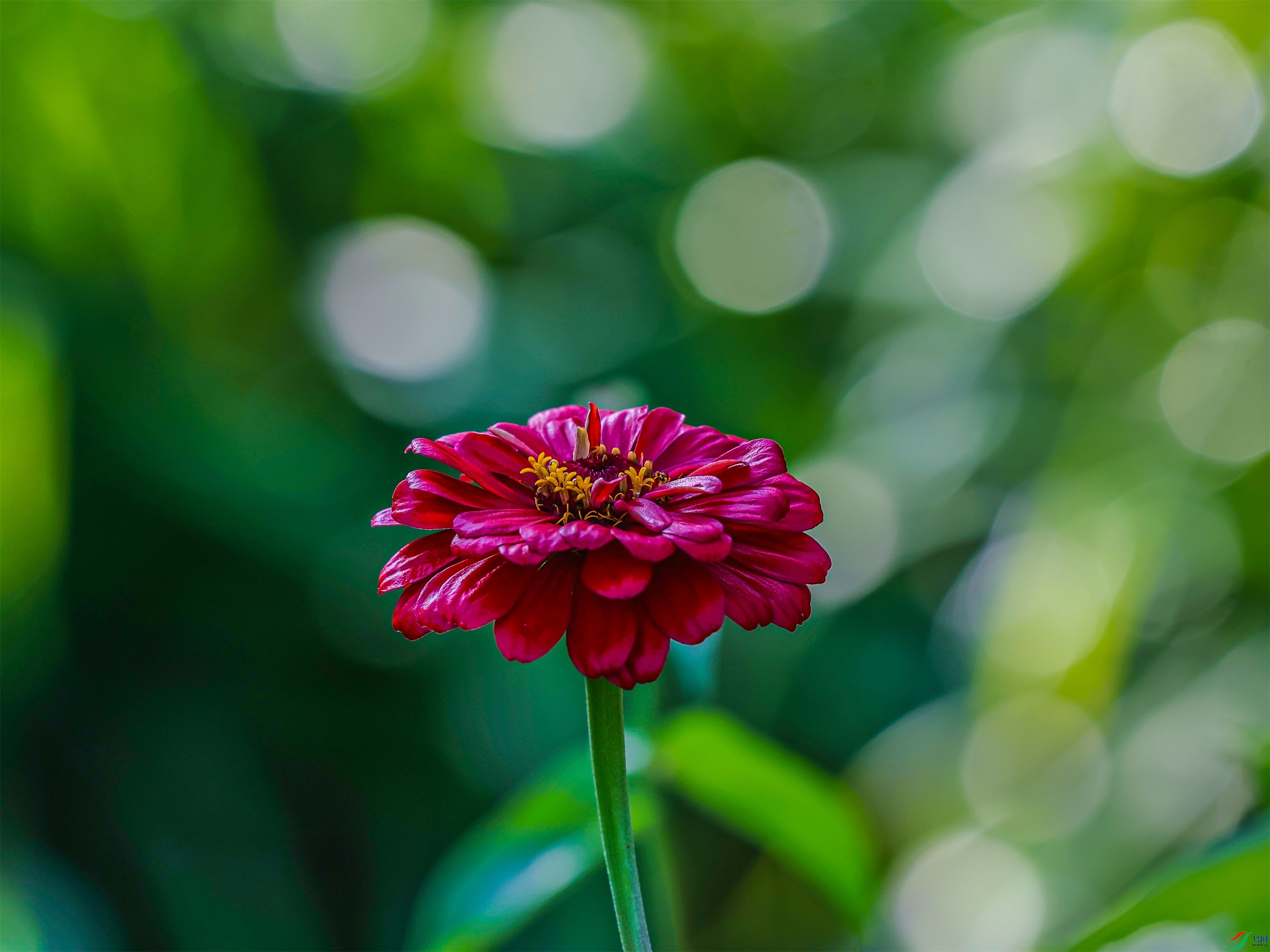 1K3A1739 ����1.jpg