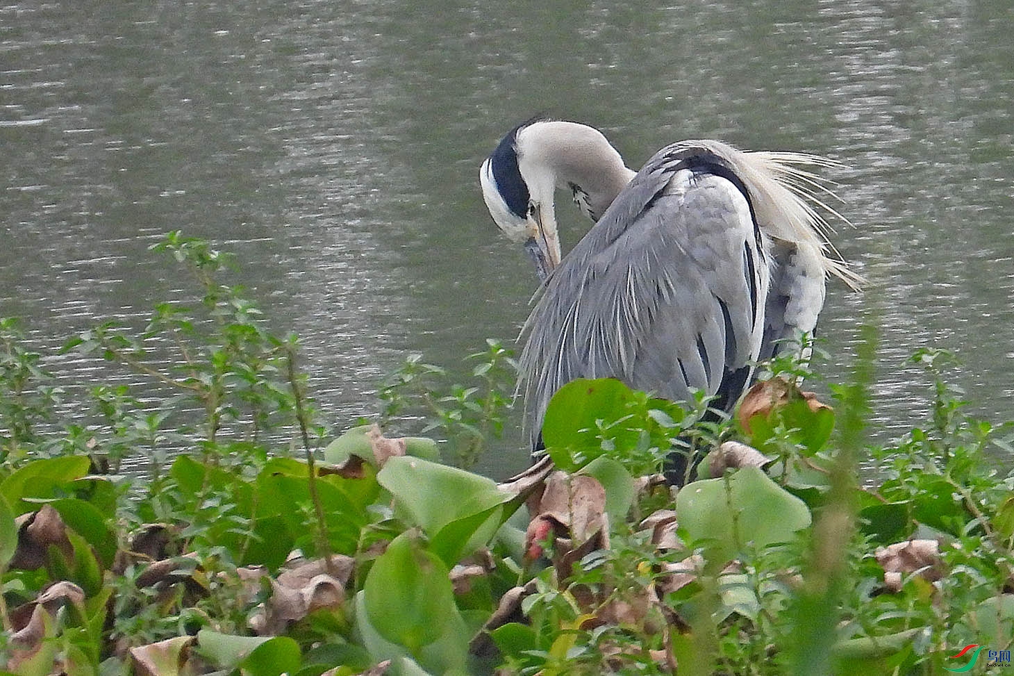DSCN5709.jpg