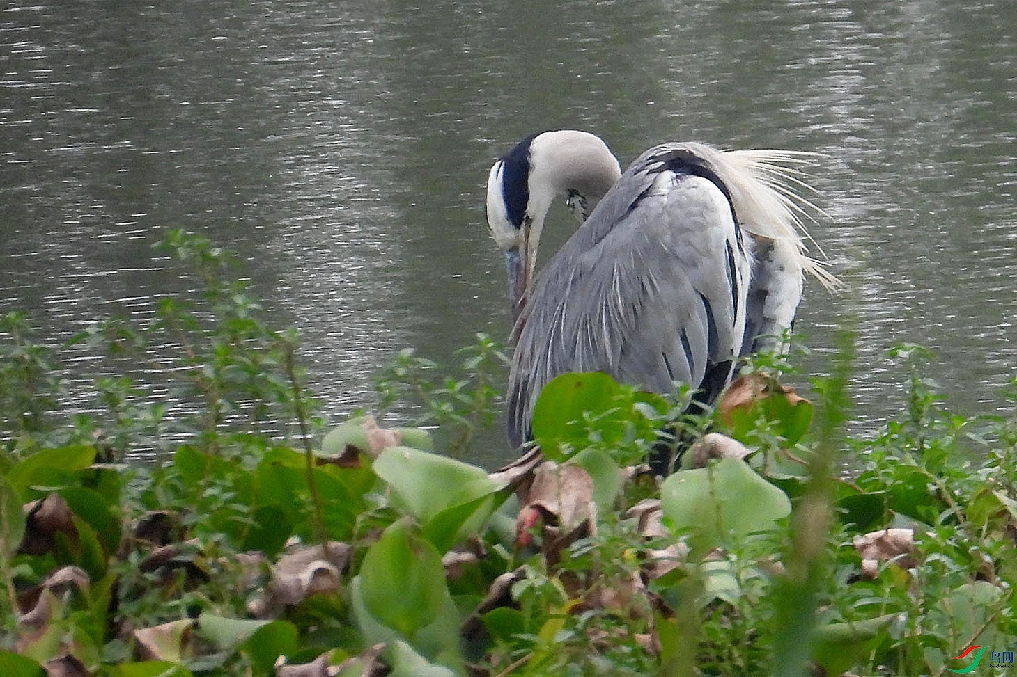 DSCN5708.jpg