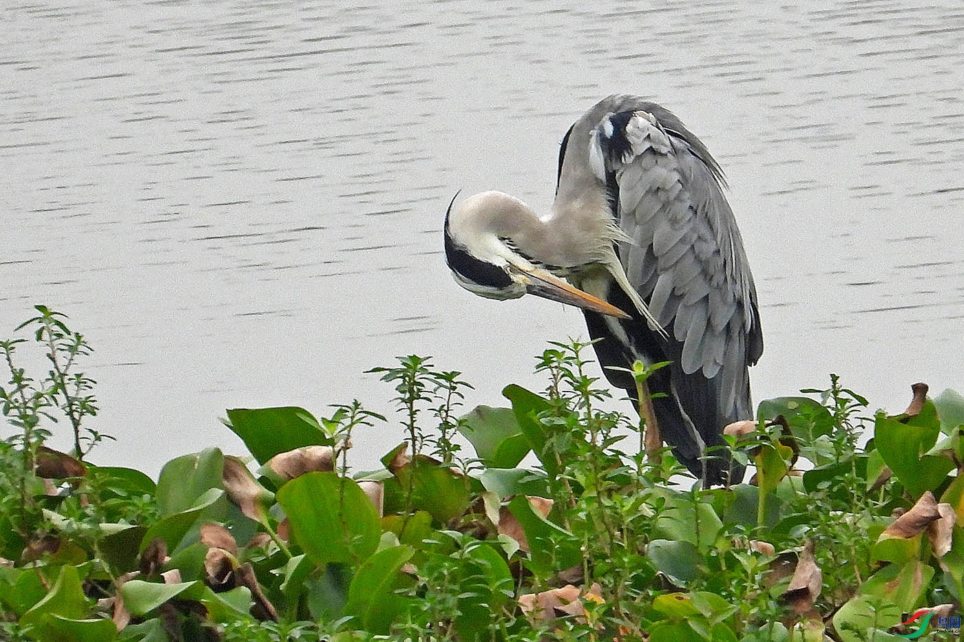 DSCN5731.jpg