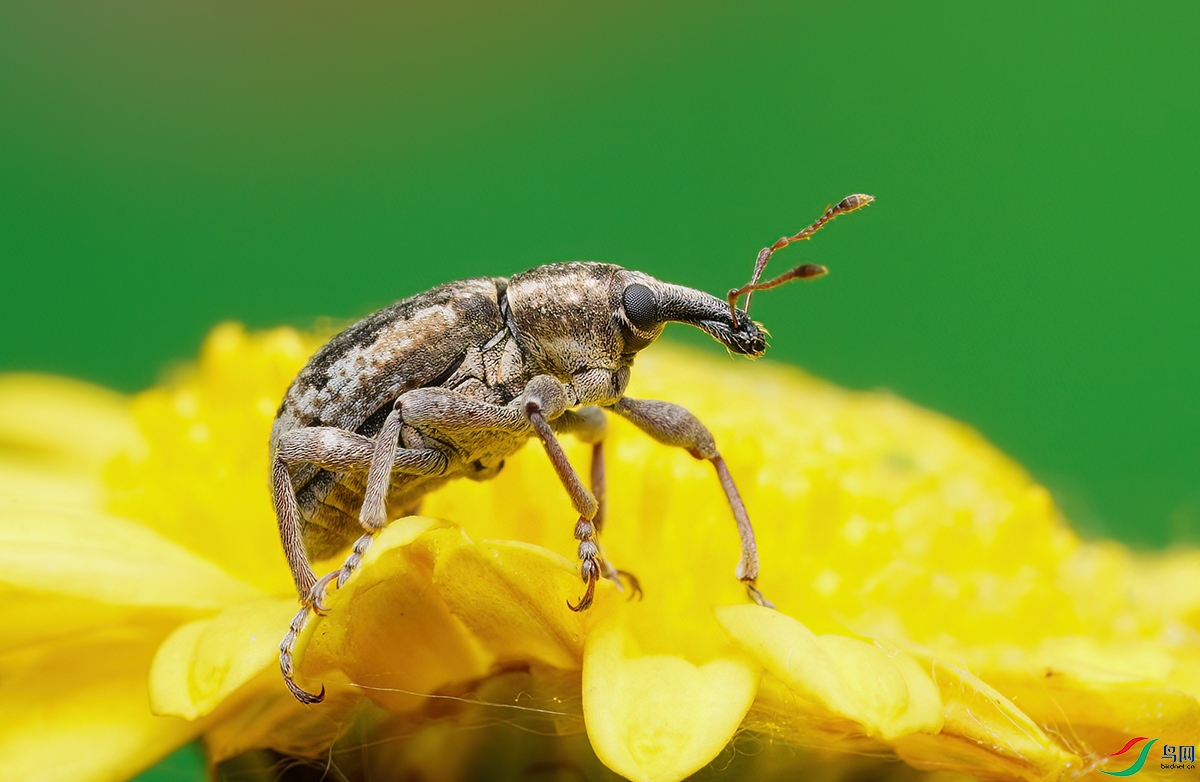 DSC02149-2.jpg