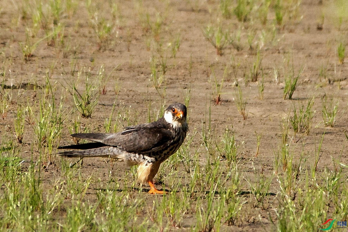 DSC_2562.jpg