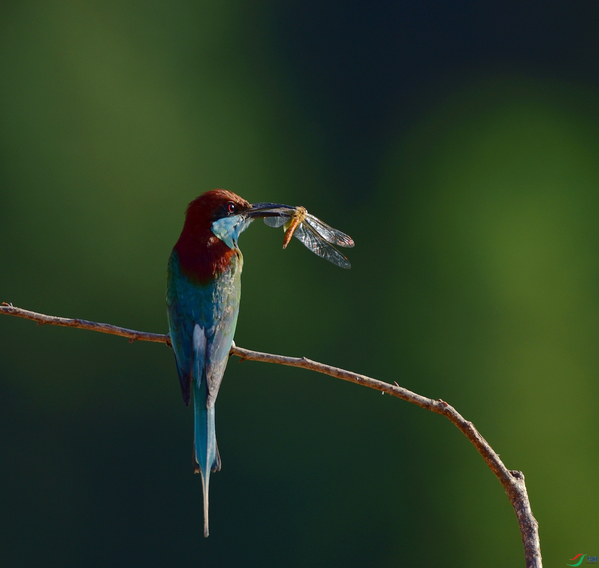 D8I_6365.jpg