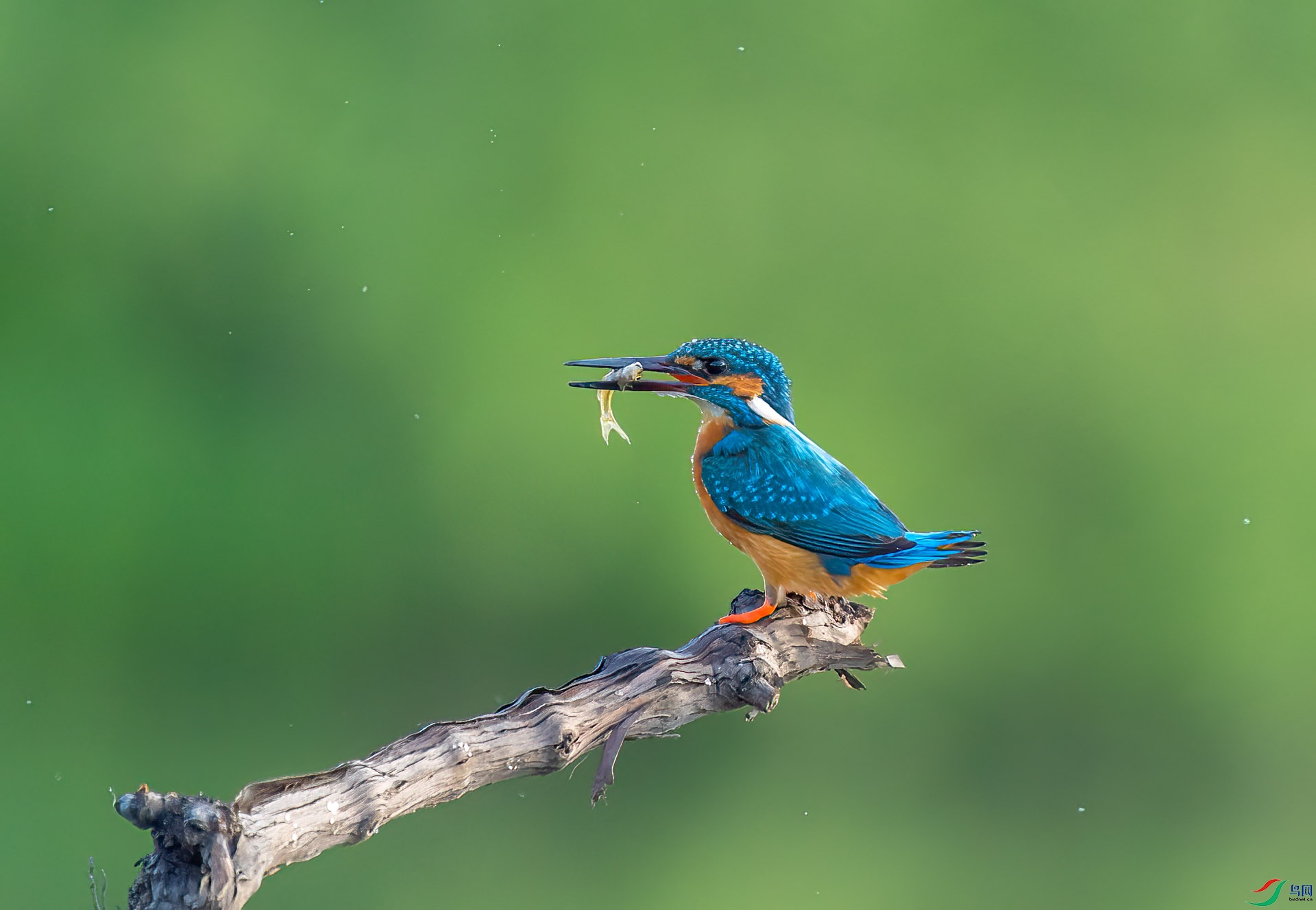 DSC_3442 ����.jpg