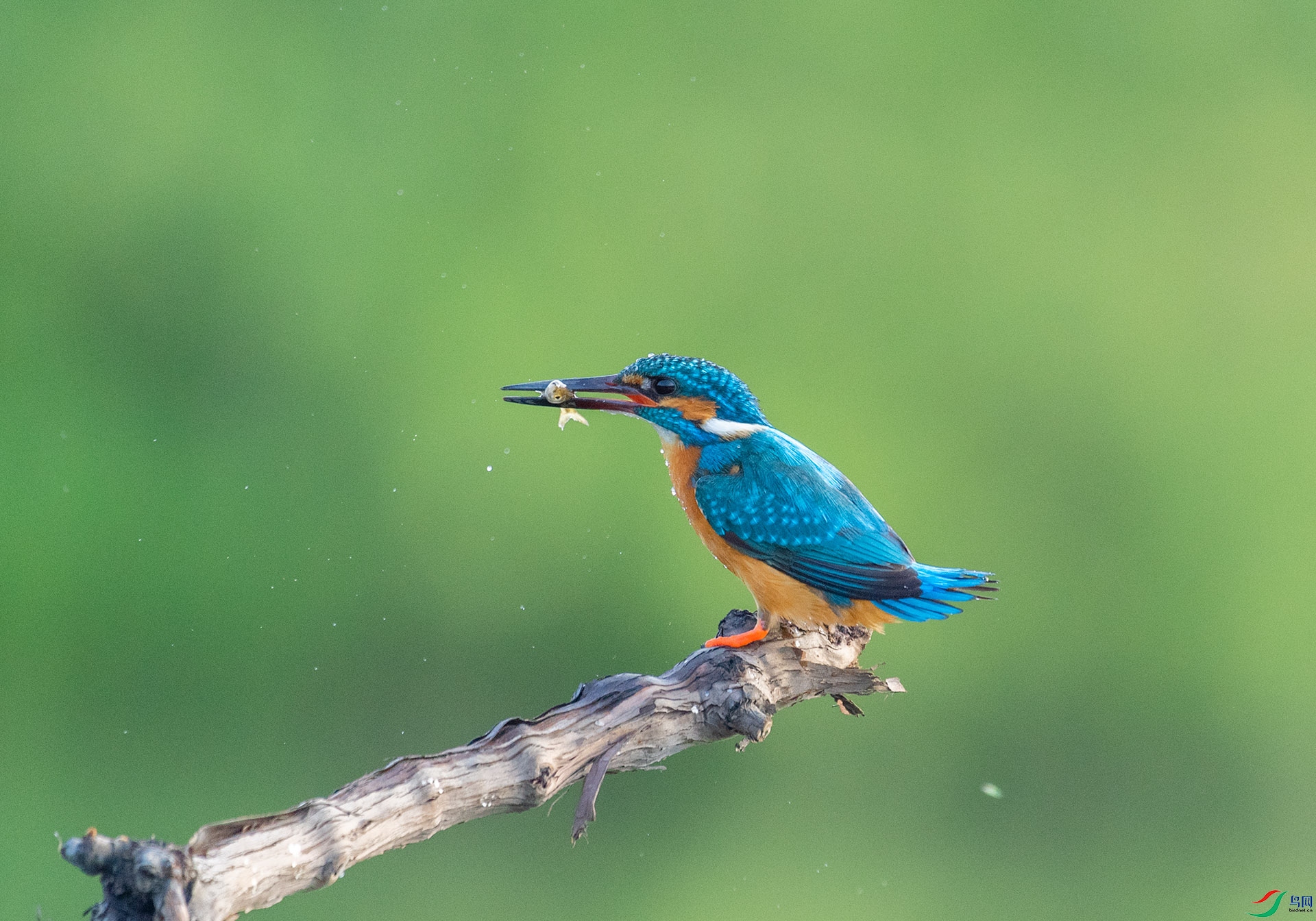 DSC_3456 ����.jpg