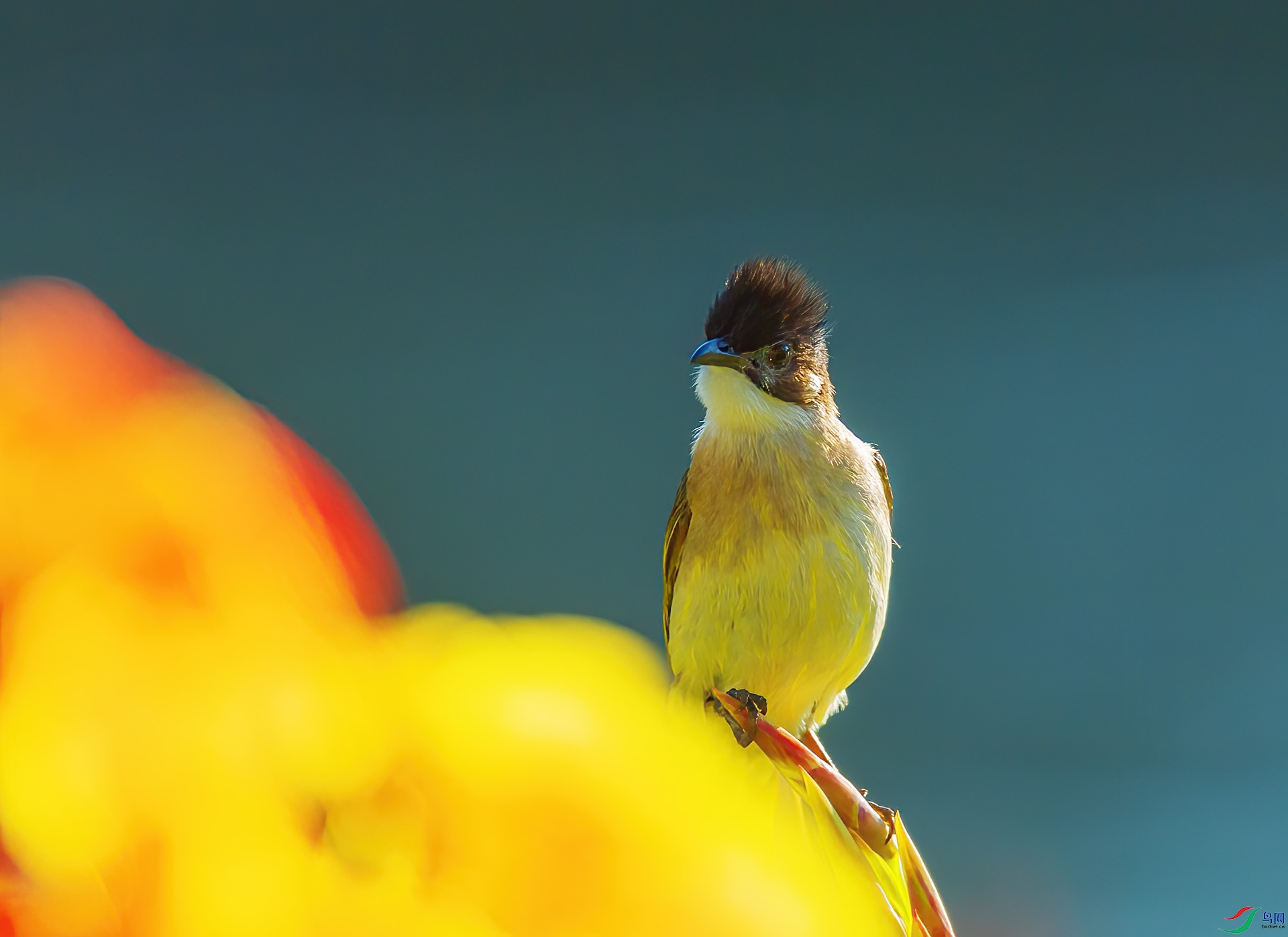 DSC_5957.jpg