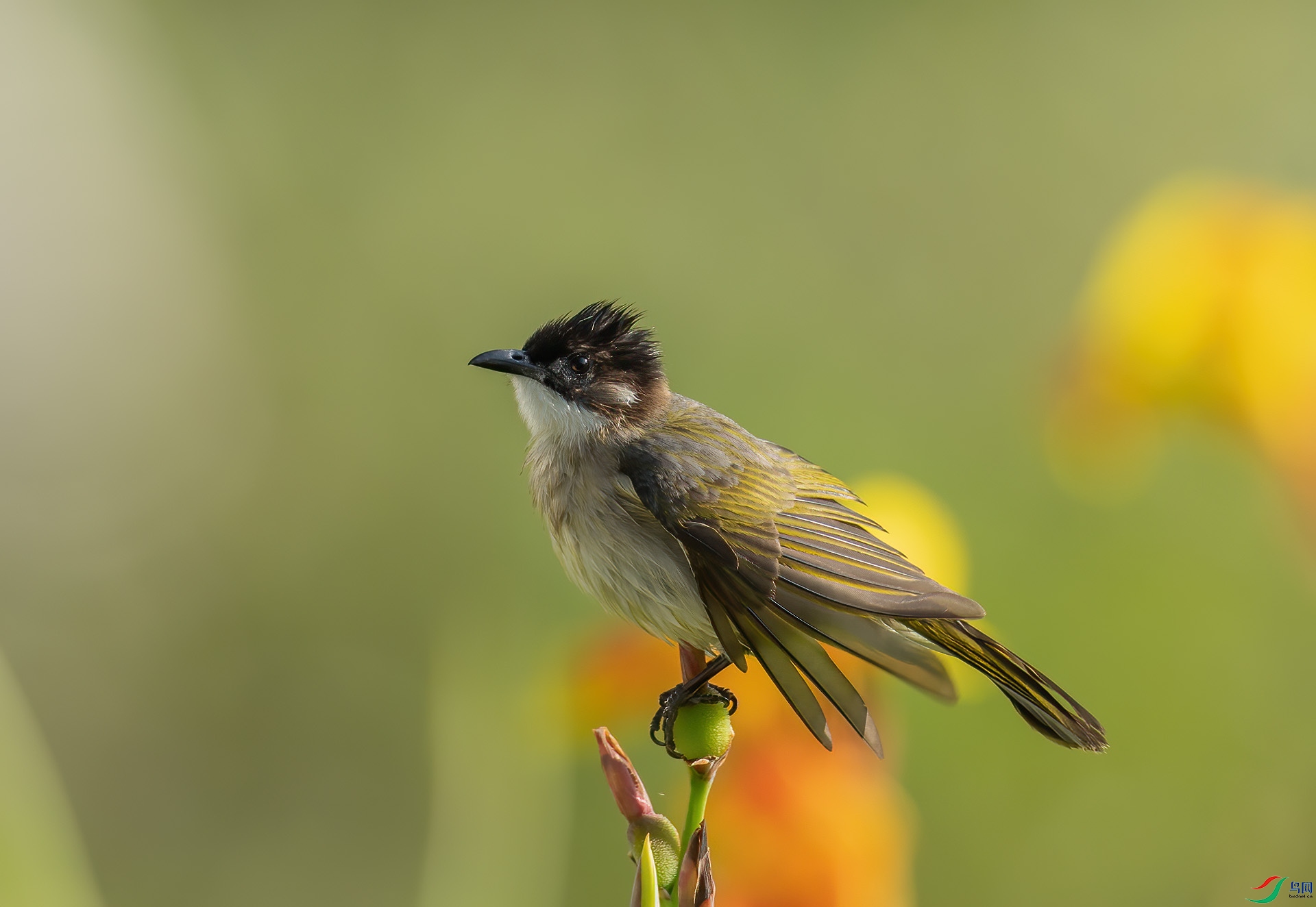 DSC_6027 ����.jpg