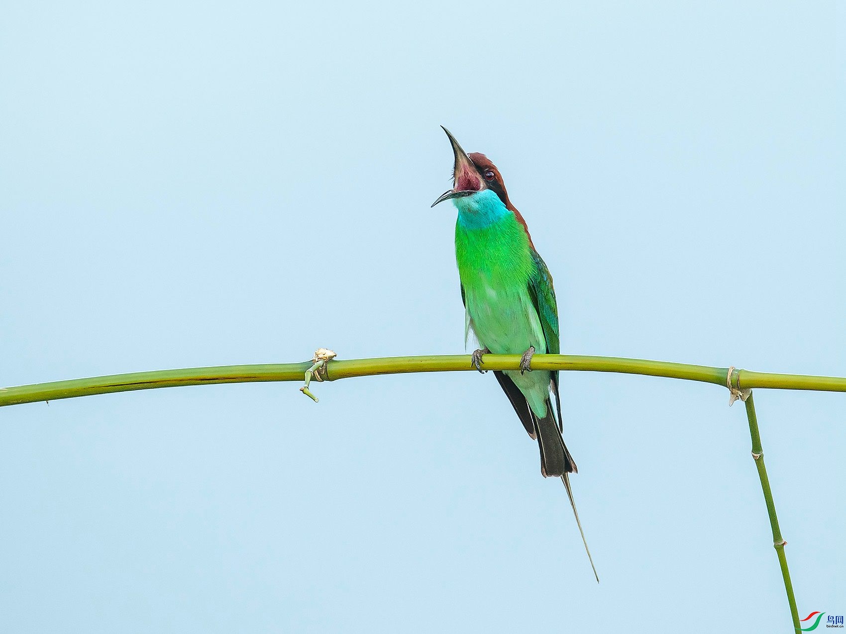 DSC_3086.jpg