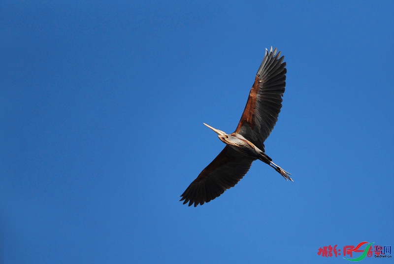 DSC_0904.jpg