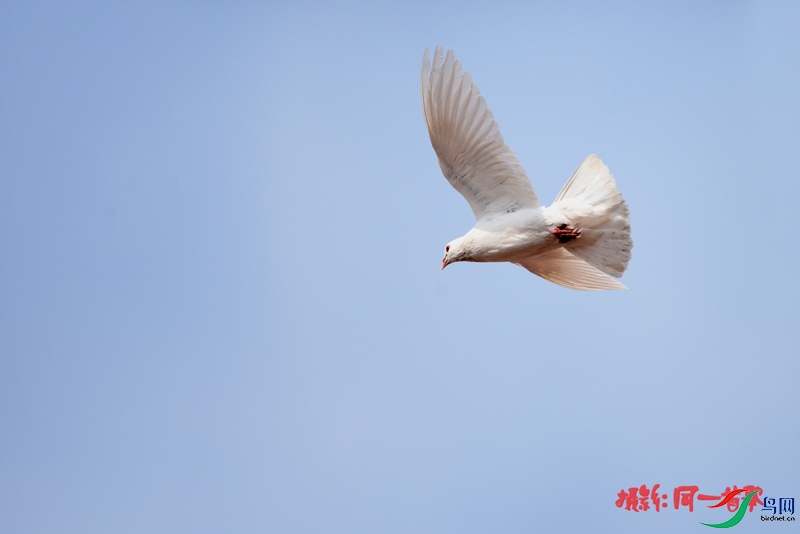DSC_1034.jpg