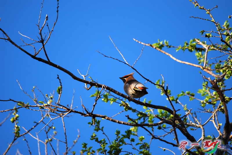 DSC_1249_����.jpg
