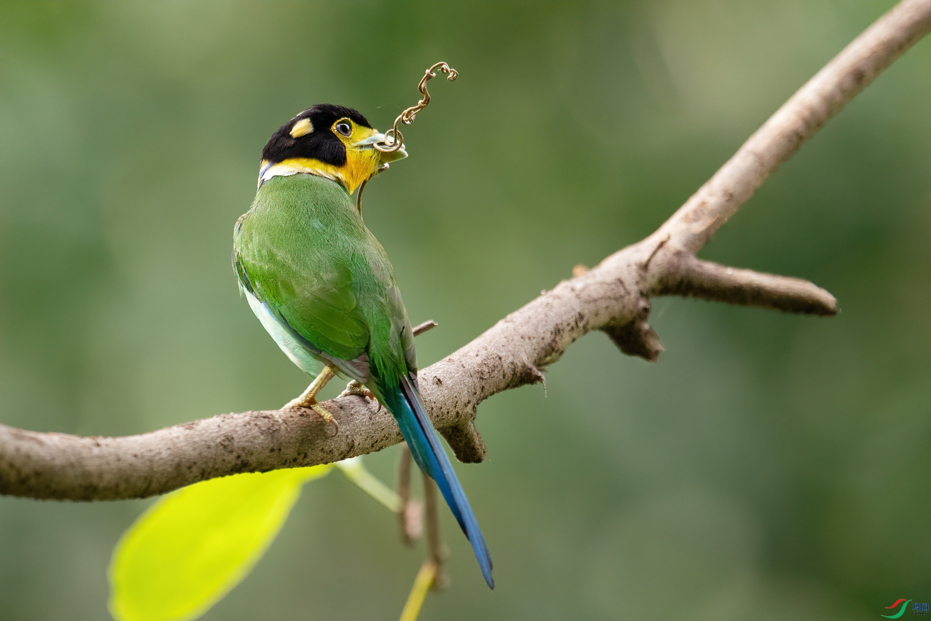DSC_6287-1.jpg