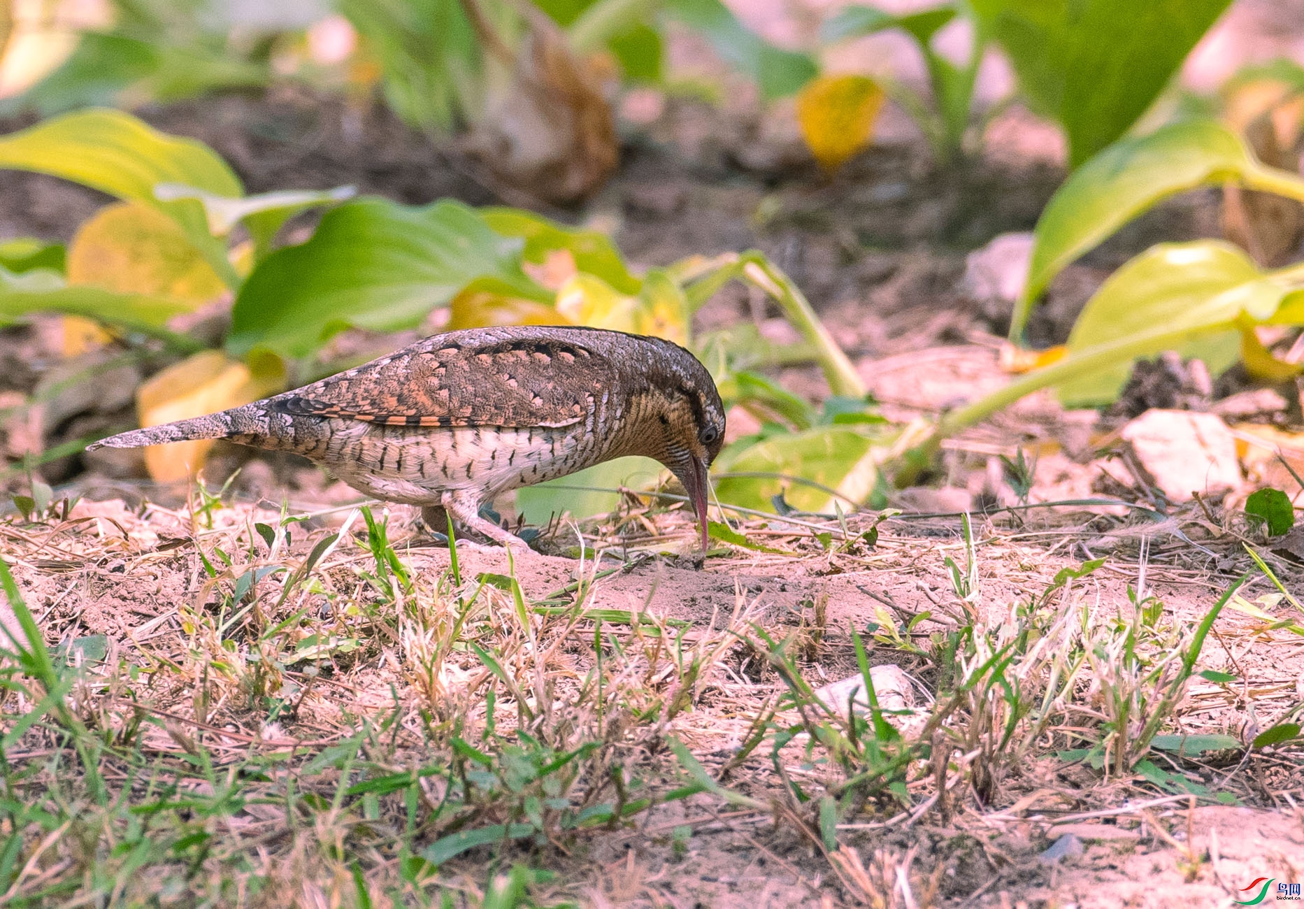 DSC_7358.jpg