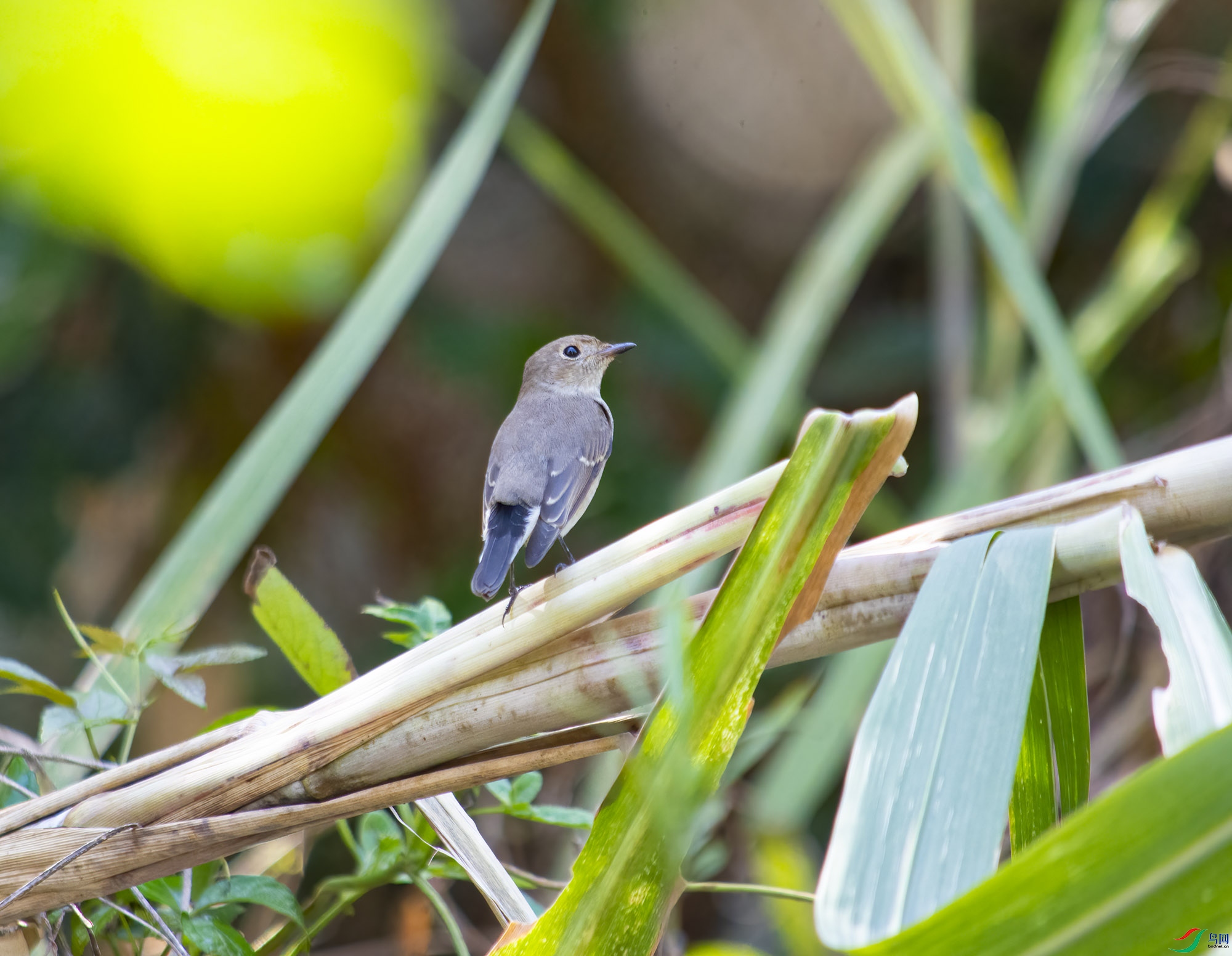 DSC_3570.jpg
