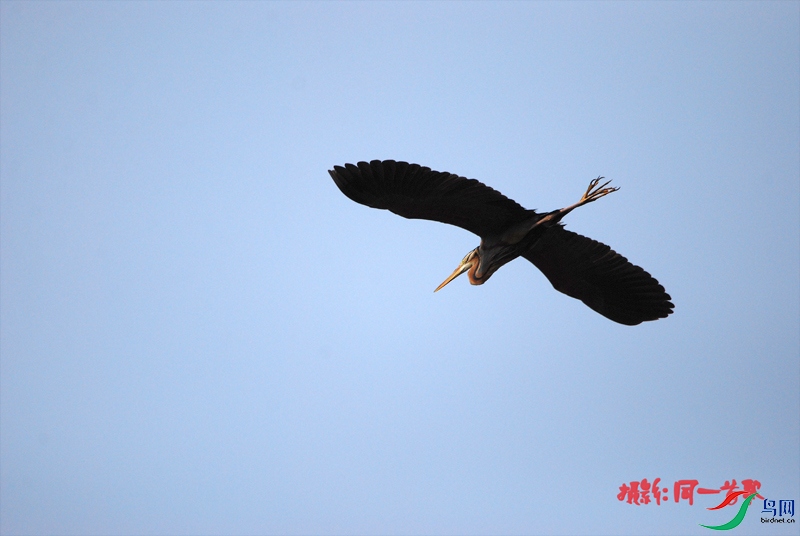 DSC_1581.jpg