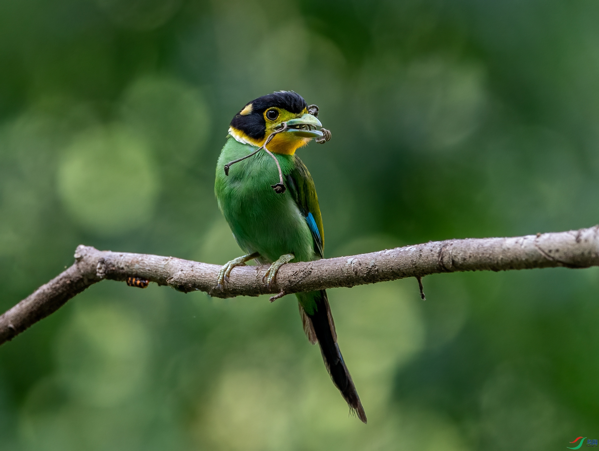 DSC_4167-1.jpg