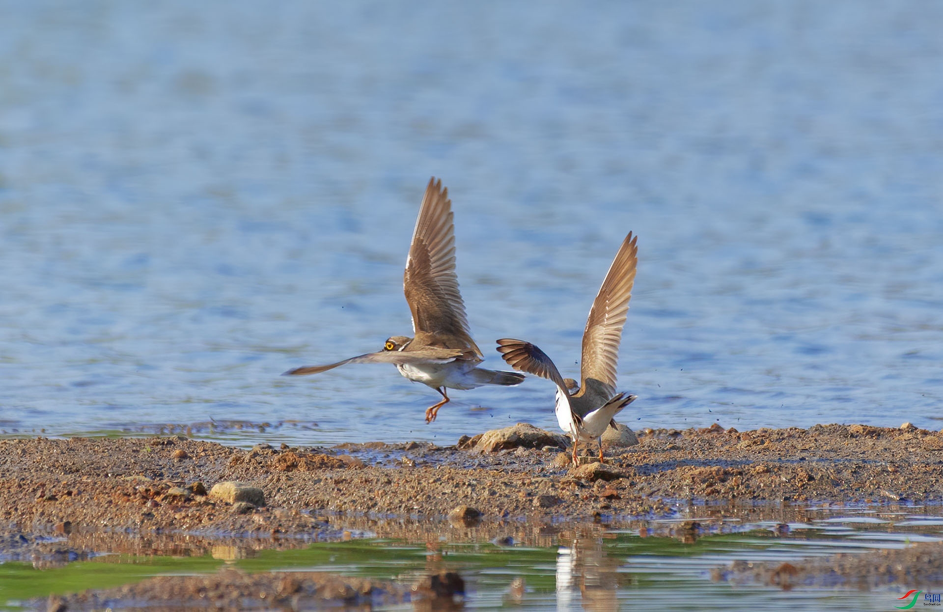 DSC_1997 ����.jpg