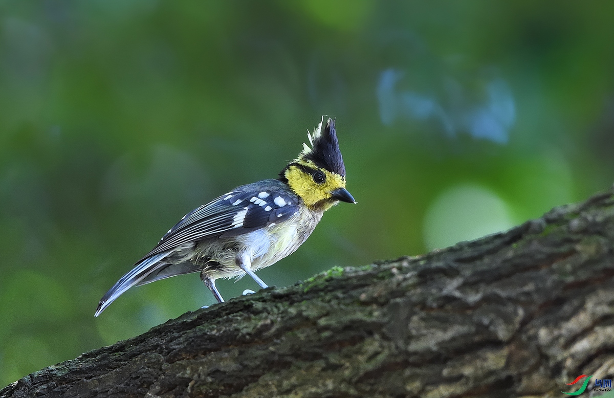 DSC_2250.jpg