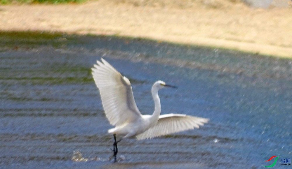 DSC01305_����.jpg