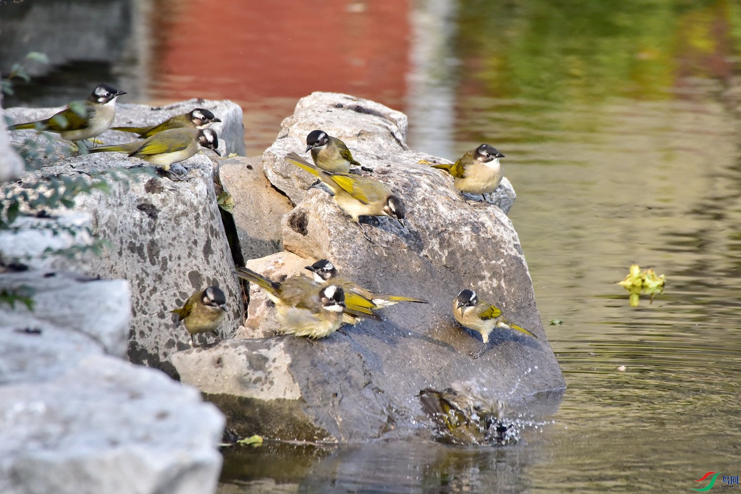 DSC_6723.JPG