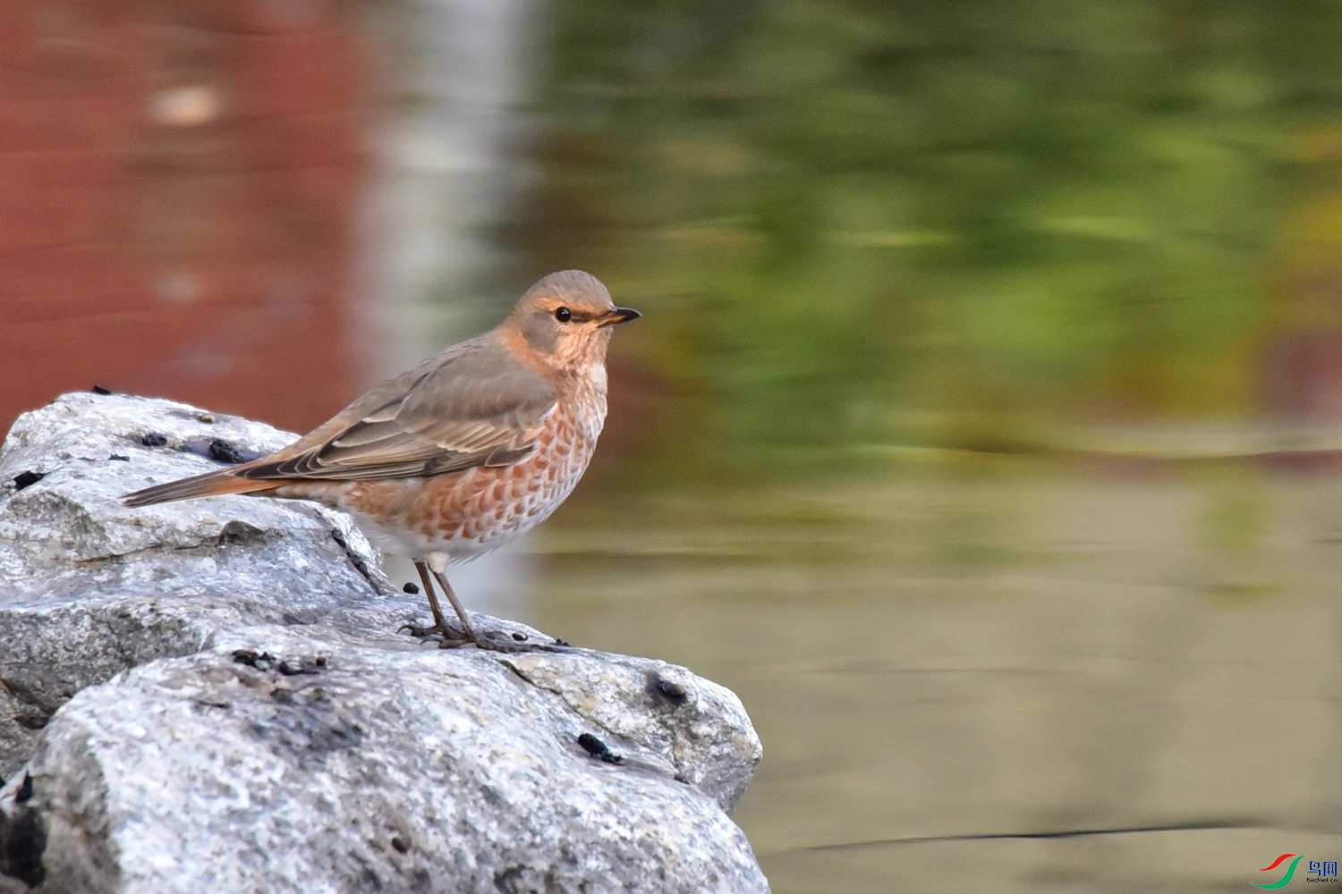 DSC_6943.JPG