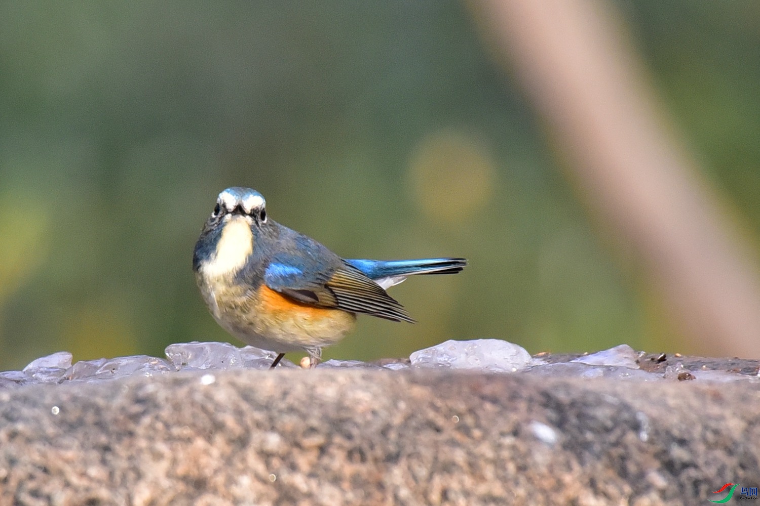 DSC_8642.JPG