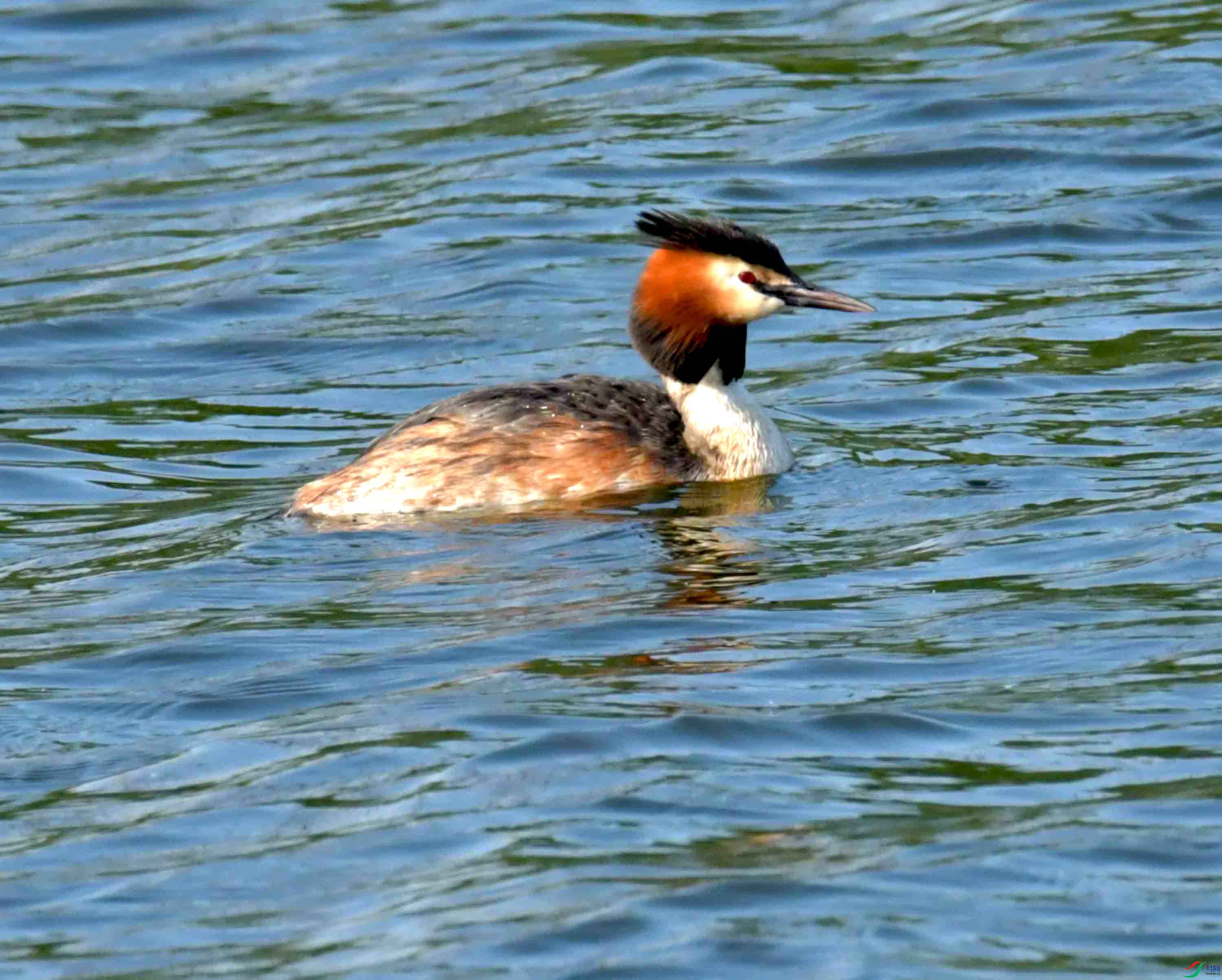 DSC_4561.JPG