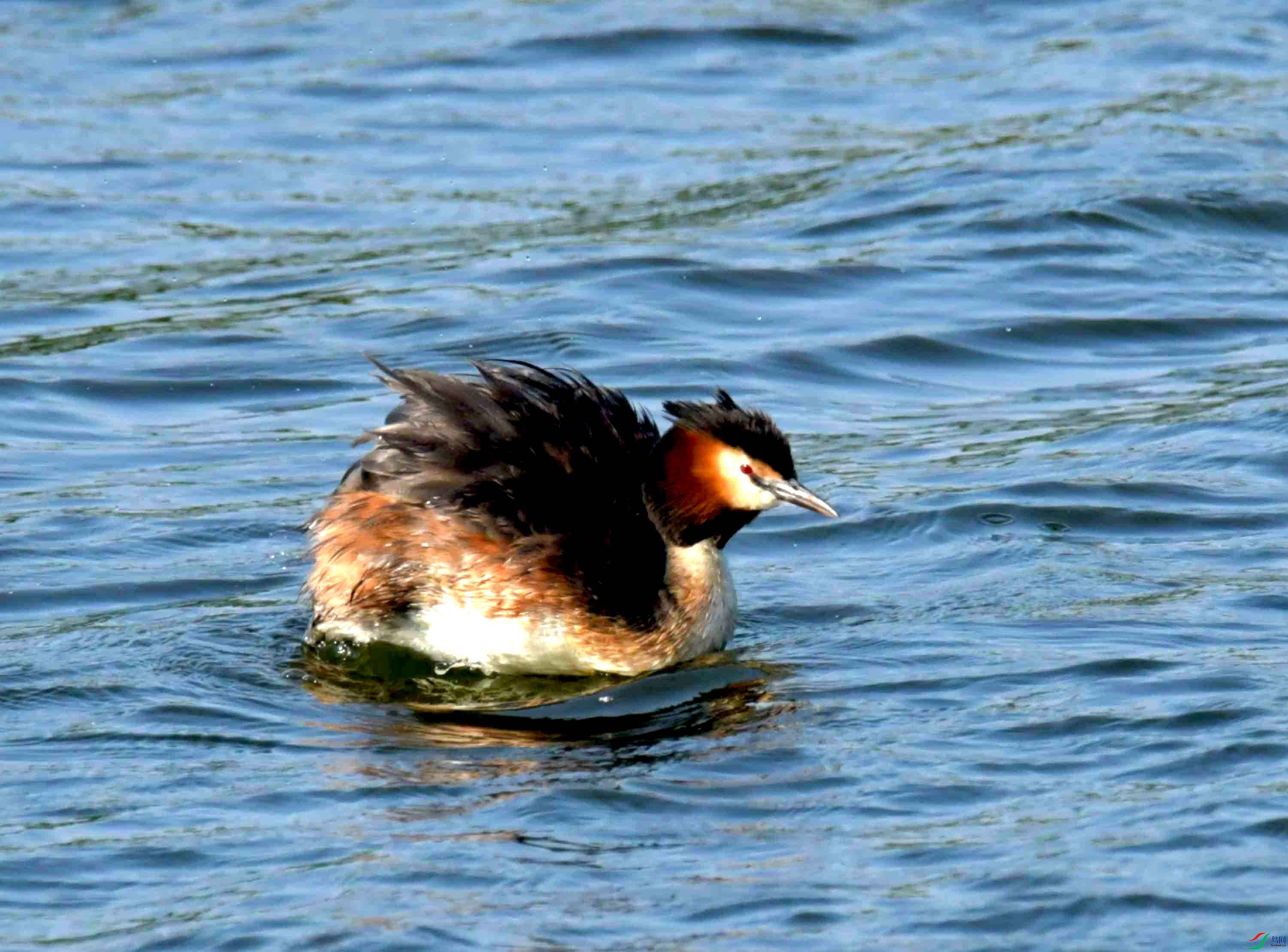 DSC_4566.JPG