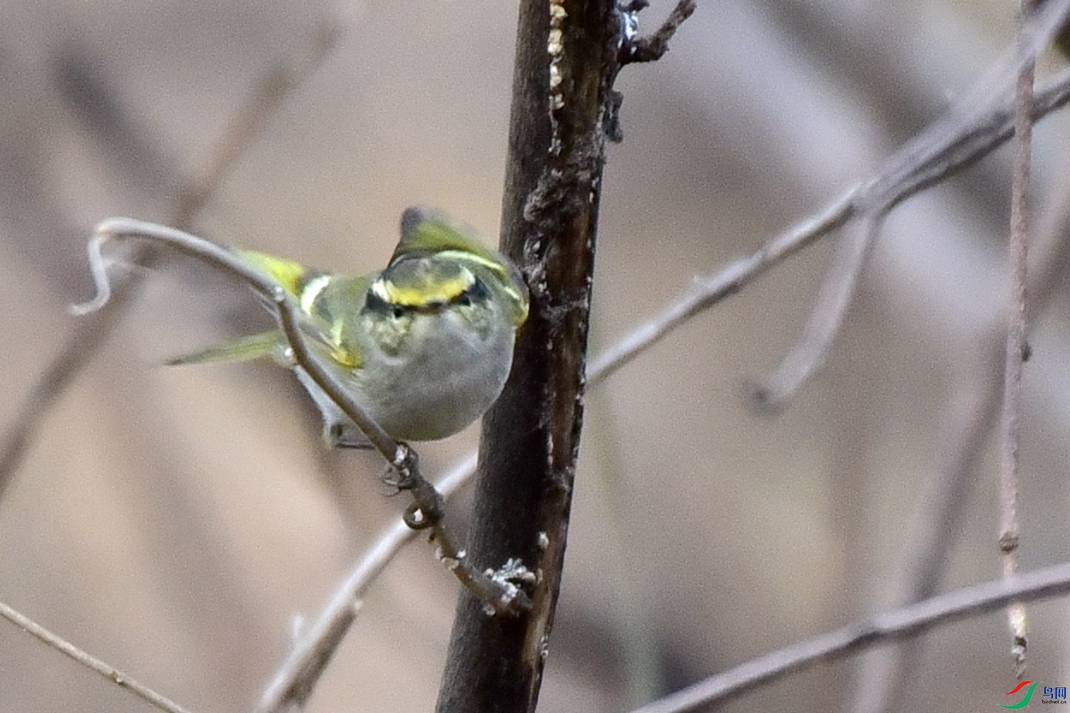 DSC_8784.JPG