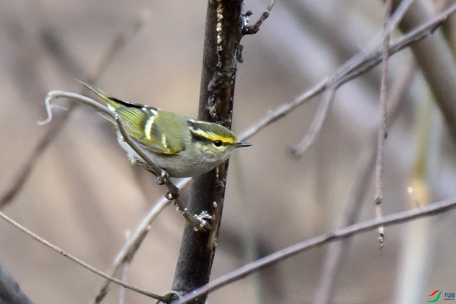 DSC_8782.JPG